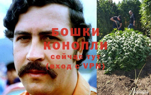 гашик Бородино