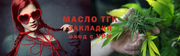 гашик Бородино