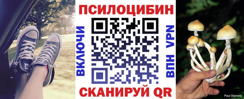 Галлюциногенные грибы GOLDEN TEACHER  наркота  Гусев 